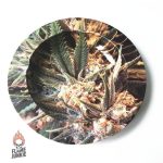 Cendrier Ganja, accessoire original pour fumeurs